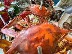 -半岛听涛蒸汽海鲜自助(K11店)