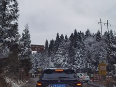 -武陵山森林公园