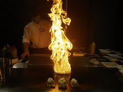 -渔乐之昕·铁板烧自助餐(虹悦城店)