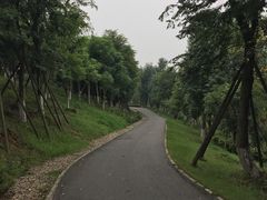 -白鹭湾湿地公园