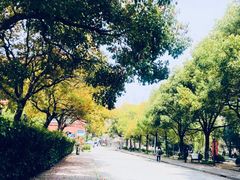 -同济大学(沪西校区)