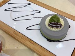 -哈根达斯(石家庄北国店)