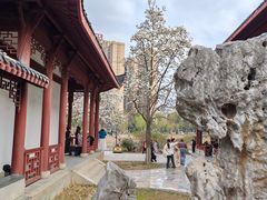 -堤角公园