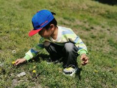 -长白岛森林公园