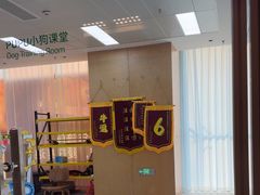 -帕帕拉兹宠物(亚洲旗舰店)