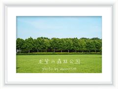 -宜兴龙背山森林公园