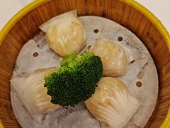 水晶鲜虾饺-香港新曜记茶餐厅(星耀城店)
