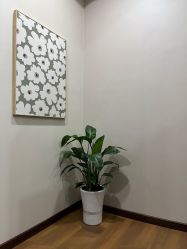 -纤思韵产后恢复中心(金宝天街店)