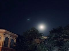 -重庆海昌加勒比海水世界