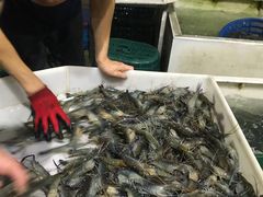 -海峡水产品交易中心(海鲜交易区)