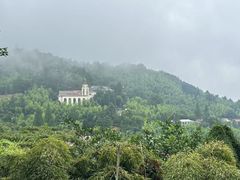 -莫干山风景区