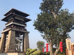 -大湾区中央湿地公园