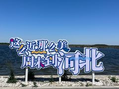 -南大港湿地风景区