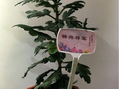 -汇龙潭