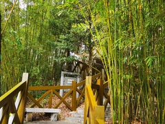 -广州市流溪河国家森林公园