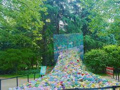 -上海共青森林公园