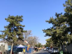 -洛阳古墓博物馆