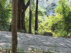 -水濂山森林公园