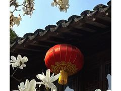 -上海醉白池公园