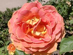 -阿方索十二世纪念碑