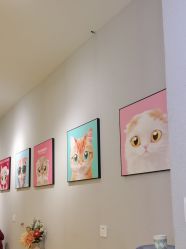 -洗脸猫·洗脸吧