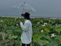 -七的湖·晚芳亭·阳澄湖农家菜·大闸蟹(莲花岛店)