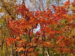 -三块石国家森林公园