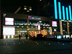 -紫荆广场·花漫里