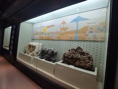 -浙江自然博物院(杭州馆)