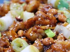 宫保鸡丁烤鱼（清江鱼/斤）-锦尚阁烤鱼•天津菜(宣武门胡同店)
