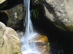 -大鄣山卧龙谷景区