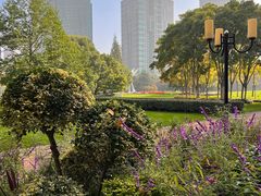 -陆家嘴中心绿地