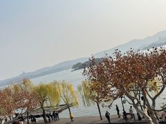 -楼外楼(西湖景区孤山路店)