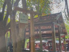 -同里国家湿地公园