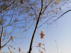 -绿堤公园