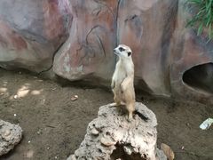 -长鹿旅游休博园