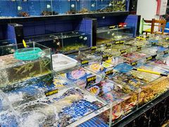 水产区-明记海鲜大排档(巽寮湾店)