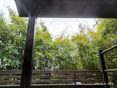 -崇阳三特浪口温泉