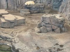 -西安曲江海洋极地公园