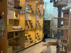 -平行世界·猫咖(首经贸店)