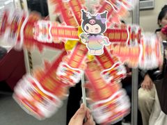 -越秀西湖花市(广州城市广场花卉店)