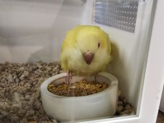 -宠物世家(仲盛世界商城店)