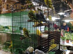 -万商花鸟市场