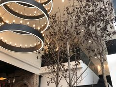 -桉树林A coffee 森林餐厅(三圣乡店)