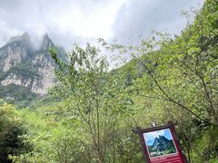 -鹿院坪生态旅游景区