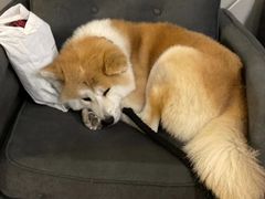 -YCHL Studios健身工作室(市二宫店)