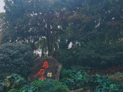 -乌山风景区