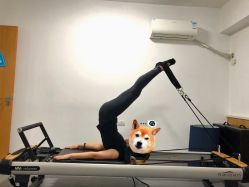 -康舒普拉提工作室control pilates