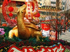 -越秀西湖花市(广州城市广场花卉店)