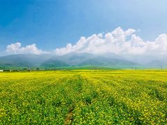 -青海湖国家重点风景名胜区